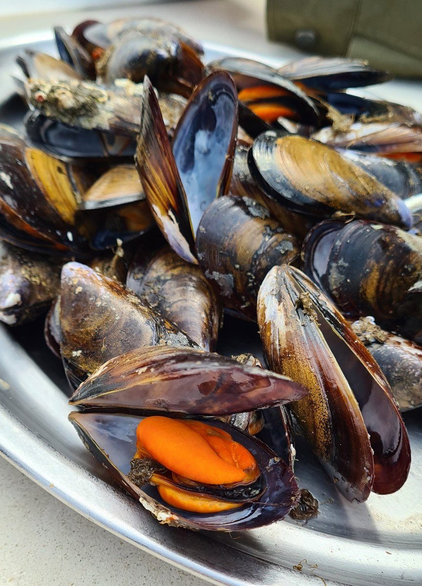 Mejillones de Galicia