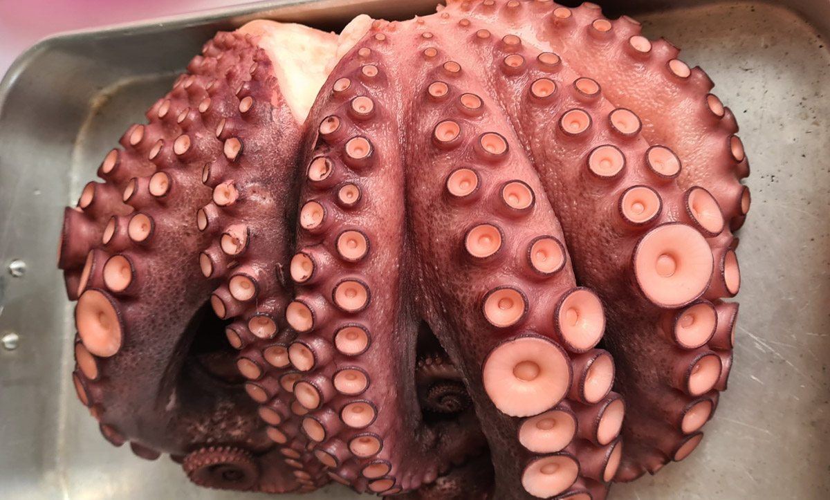 Pulpo de Galicia